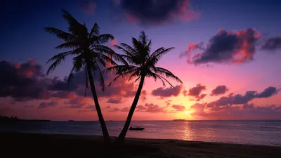 Море пляж закат пальмы - красивые фото