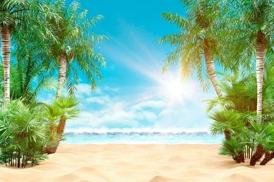 Фотообои Солнце море пальмы купить на стену • Эко Обои