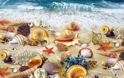 Скачать 800x1420 песок, пляж, ракушки, море обои, картинки iphone  se/5s/5c/5 for parallax