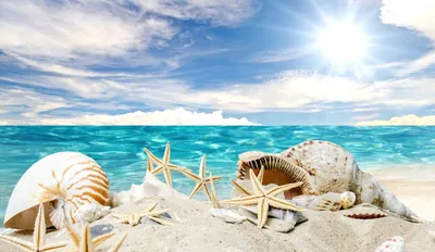 Обои Разное Ракушки, кораллы, декоративные и spa-камни, обои для рабочего  стола, фотографии разное, ракушки, кораллы, декоративные и spa-камни,  океан, пляж, тропики, солнце, море, песок, perl, sand, summer, ракушка,  blue, beach, sea, coast,
