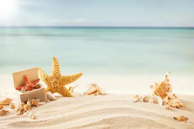 Вайб пляж море песок ракушки украшения эстетика Дубай закат заход солнца |  Пляж, Закаты, Эстетика