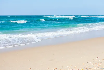 Море Песок Пляж - Бесплатное фото на Pixabay - Pixabay