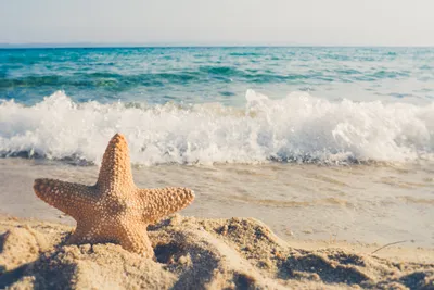 Море,пляж,песок,море ну очень тёплое. - Фото - Xiaomi Community - Xiaomi