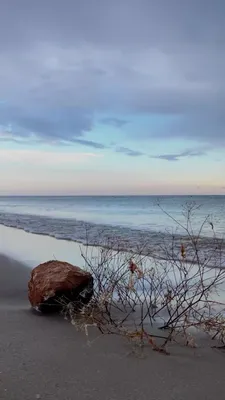 Любовь, сердце на морском пляже Стоковое Изображение - изображение  насчитывающей берег, канун: 163154033