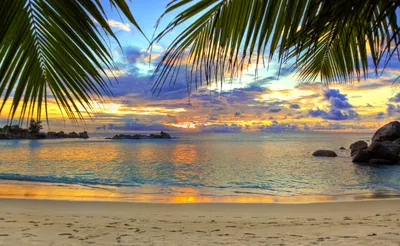 Красивый закат на море у пляжа с пальмами - обои на рабочий стол