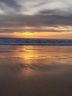 Скачать обои закат, море, пляж, sunset, sea разрешение 2560x1703 #201757