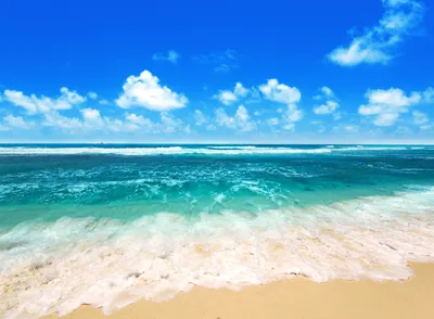 Скачать обои море, волна, пена, песок, берег, пляж, раздел природа в  разрешении 2880x1696 | Волны, Фотографии воды, Пляж