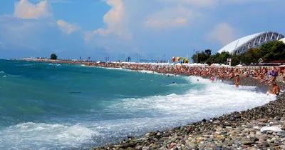 Мэрия Сочи назвала сообщения об опасности купания в море – недобросовестной  конкуренцией - Кубанские новости