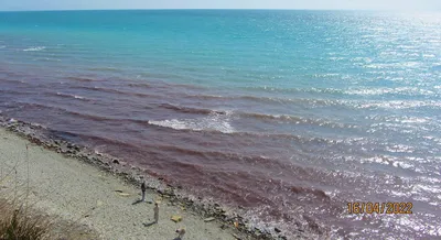 Как на Мальдивах. В Сочи Черное море окрасилось в необычный цвет  (ФОТО+ВИДЕО) - sochi-express.ru