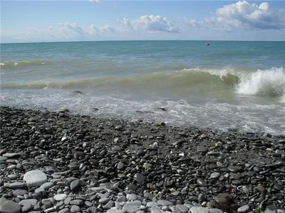 Суд в Сочи обязал снести остров в Черном море - Российская газета