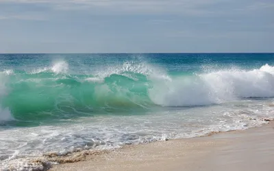 Обои пляж, море, пальма, раздел Природа, размер 2560x1600 Wide - скачать  бесплатно картинку на рабочий стол и телефон
