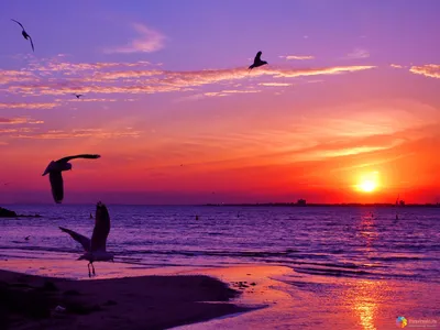 Море Закат Солнца Одиночество - Бесплатное фото на Pixabay - Pixabay