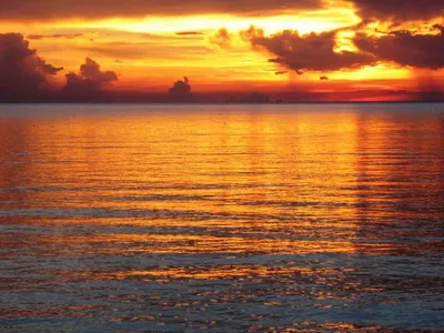картинки : Золотой закат, пурпурный, Песчаный пляж, море, закат солнца,  песок, горизонт, небо, берег, Восход, солнце, Спокойствие, утро, воды,  Ветровая волна, рассвет, Послесвечение, вечер, Солнечный лучик, Прибрежные  и океанические рельефы, смеркаться ...