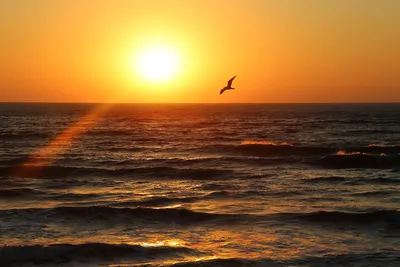 Красивый восход солнца, небо синее море, розовый, белый облака, желтый  отблеск солнца, золотое отражение в воде, мирный ландшафт Стоковое  Изображение - изображение насчитывающей остров, цветасто: 198646847