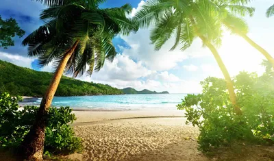 Обои пляж, море, раздел Природа, размер 1920x1200 HD WUXGA - скачать  бесплатно картинку на рабочий стол и телефон