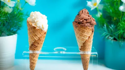 11 лучших марок мороженого 2024 в России: рейтинг топ производителей  мороженого с ценами и отзывами