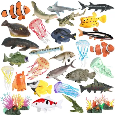 Рыбы Красного моря - фото с названиями и описанием