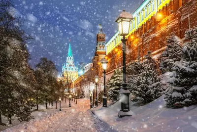Зима в Москве — идеи как провести время | Город для жизни Москва ||  yamoscow.ru | Дзен