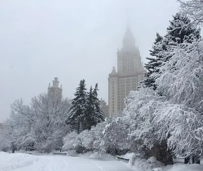 Россия, Москва | Toronto travel, Moscow winter, Best places to travel