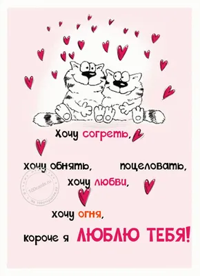 Два влюбленных котика на открытке я тебя люблю | Счастливые картинки,  Открытки, Смешные поздравительные открытки