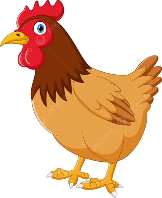 Курица Мультяшный — стоковая векторная графика и другие изображения на тему  Домашние куры - Домашние куры, Мясо курицы, Белое мясо - iStock