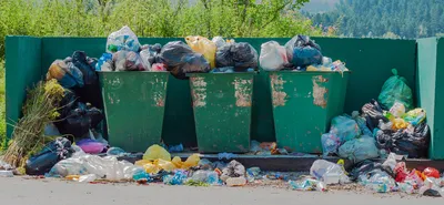 Тарифы на вывоз мусора в 2024 году: как определяются и что говорит закон