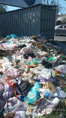 Петиция против мусора | Inbusiness.kz