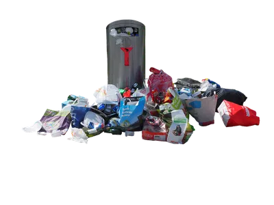 Разделение мусора — Википедия