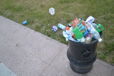 Проблема мусора в Казахстане: нужно расширить ответственность  производителей? - CABAR.asia