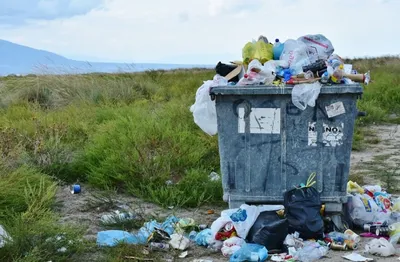 Мэрия изменит график вывоза мусора с контейнерных площадок в Липецке