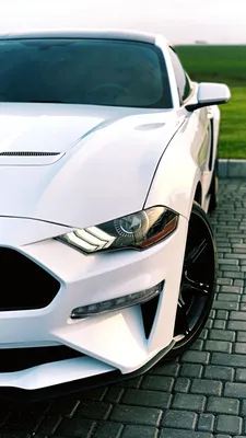 Ford mustang white and black 6 Generation | Мустанг, Крутые тачки, Ягуар
