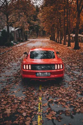 Скачать обои \"Ford Mustang\" на телефон в высоком качестве, вертикальные  картинки \"Ford Mustang\" бесплатно