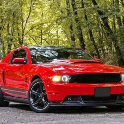 Shelby Mustang — Википедия