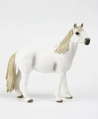 Прекрасные лошади, Золотого Мустанга. — Золотой мустанг
