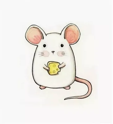 Раскраска животные мышка. Рисунок мышки