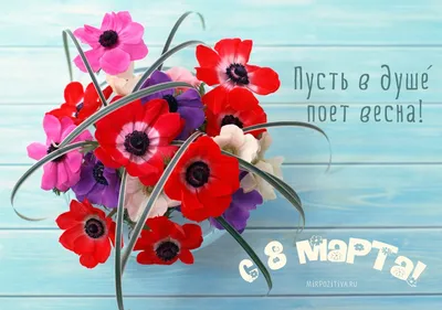 Что подарить сестре на 8 марта? Идеи подарков