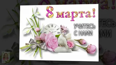 С Международным женским днём – 8 марта! – Ветеринарный центр