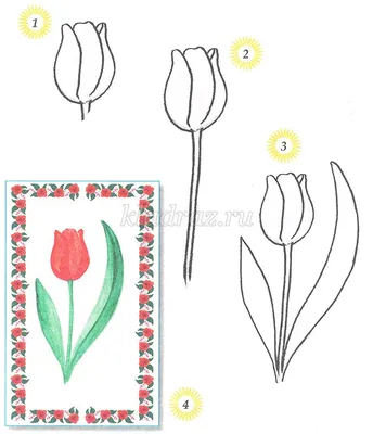 Рисование цветов к 8 марта в начальной школе поэтапно с фото