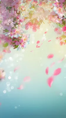 весна-цветы-обои-розовый-цветущий-цветы-телефон-обои-синий-фон | Spring  wallpaper, Pink wallpaper iphone, Pink wallpaper backgrounds