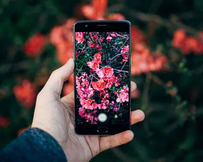 Обои на телефон андроид весна - фото и картинки abrakadabra.fun