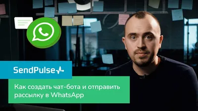 Чат-боты в WhatsApp и интеграции с CRM и чат-платформами - i-Digital