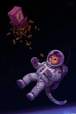 Кот в скафандре летит за коробкой с кошачьим кормом в космосе — Картинки и  авы | Кот-космонавт, Иллюстрации, Картины животных