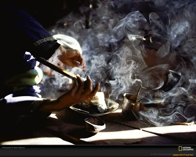 Человек Курить Сигару Открытый Профиль Портрет — стоковые фотографии и  другие картинки Азиатского и индийского происхождения - Азиатского и  индийского происхождения, Борода, В профиль - iStock
