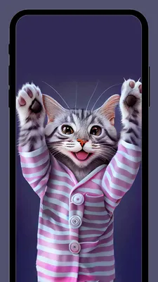 Милый котик на аватарку - картинки и фото koshka.top
