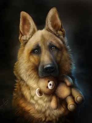 Аватарка для форума с мордой собаки, скачать картинку на SY