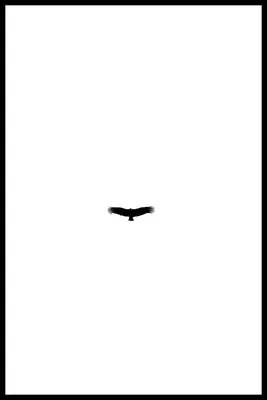 Женские ножки на белом фоне Стоковое Фото - изображение насчитывающей над,  обольстительно: 196117754