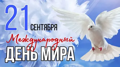 Міжнародний День Миру - Школа 269 🇺🇦