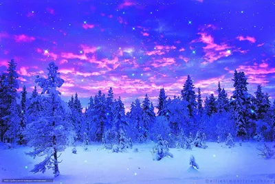 заставка на экран компьютера зима: 13 тыс изображений найдено в  Яндекс.Картинках | Winter wallpaper desktop, Winter wallpaper, Iphone  wallpaper winter