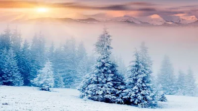 Обои Природа Зима, обои для рабочего стола, фотографии природа, зима, снег,  ели, небо, альтанка Обои для рабочего стола, скачать обои картинки заставки  на рабочий стол.