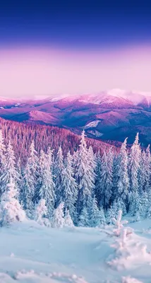 Красивые зимние картинки на телефон (69 фото) ⭐ Все мемы на одном сайте |  Hintergrundbilder natur, Whatsapp hintergrundbild, Landschafts tapete